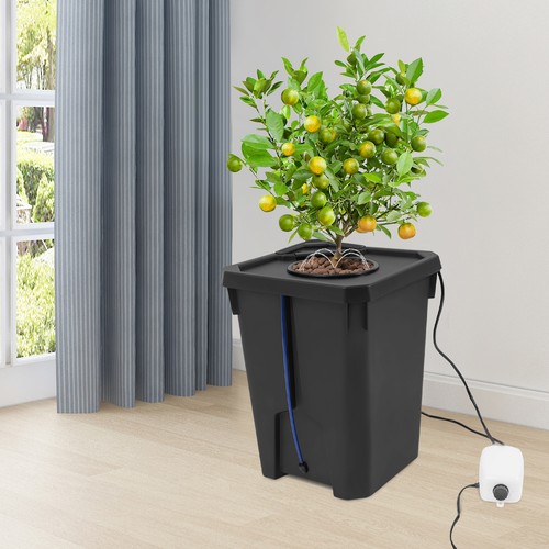 Gallon hydroponics deep - 7,
