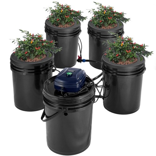 Rdwc hydroponics system - rdwc,
