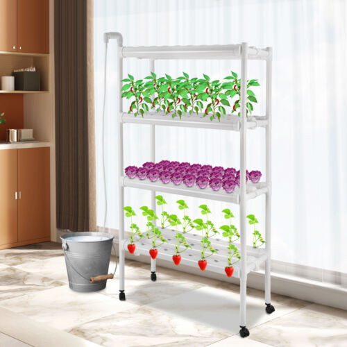 Modern hydroponic grow - grow, kit