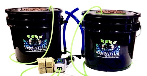 Dwc hydroponic system kit 5 - dwc,