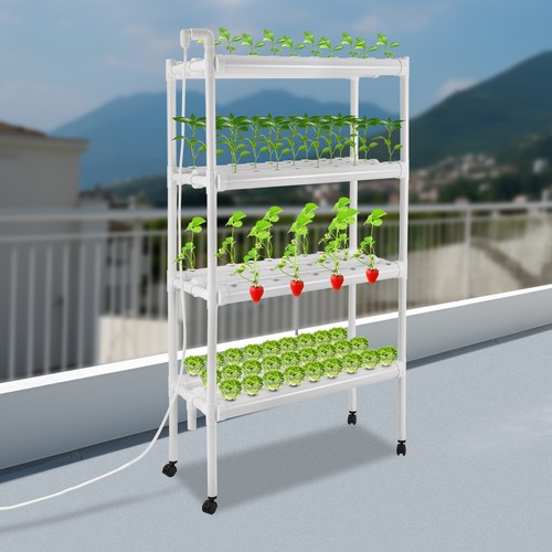 Hydroponic grow kit - grow,